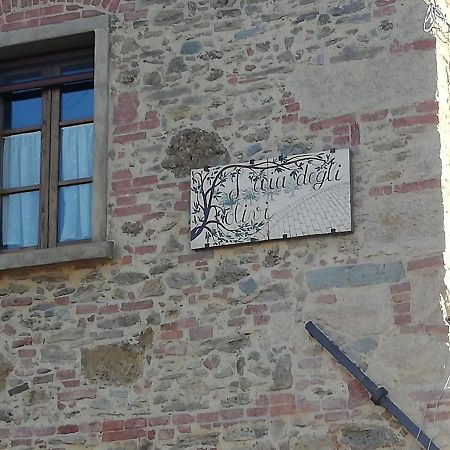 Apartamento L'Aia Degli Olivi Vada Exterior foto