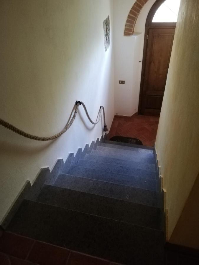 Apartamento L'Aia Degli Olivi Vada Exterior foto