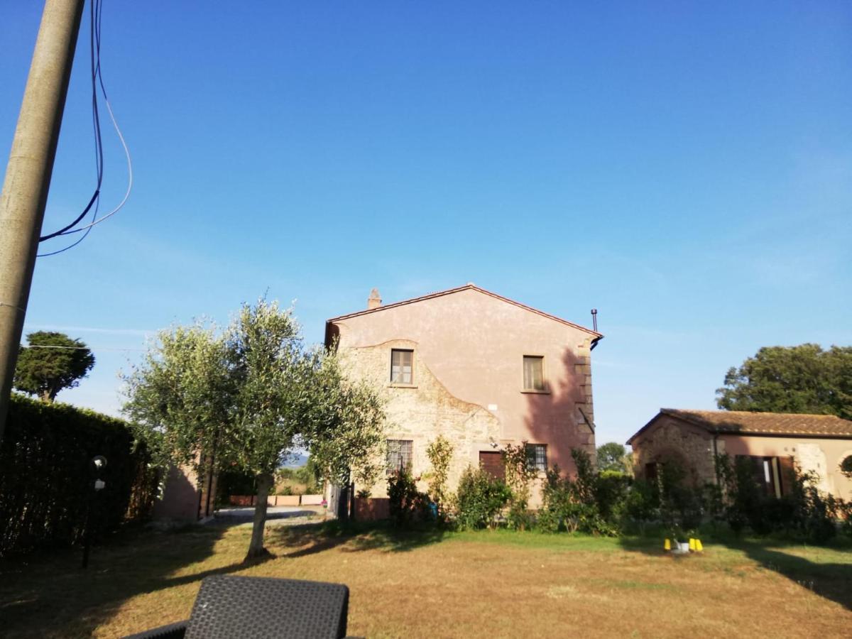Apartamento L'Aia Degli Olivi Vada Exterior foto