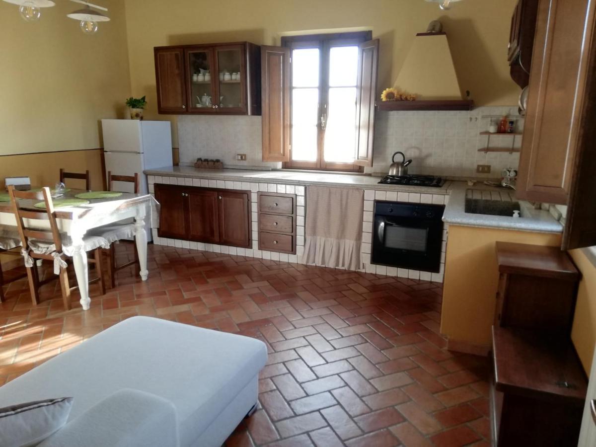 Apartamento L'Aia Degli Olivi Vada Exterior foto